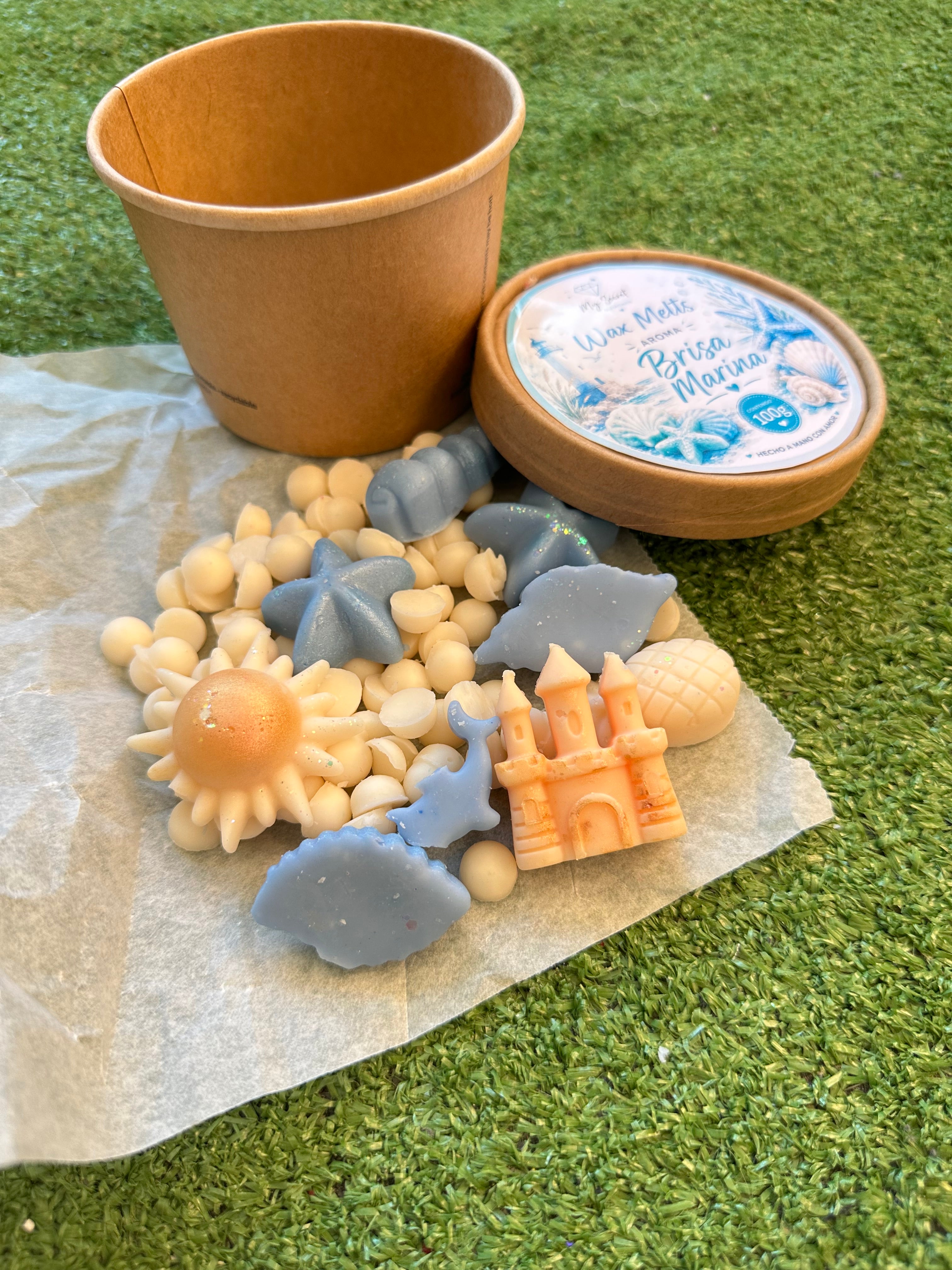 Waxmelts Cera quemador “Brisa marina”
