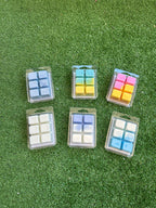 Waxmelts Cera de quemador aromas de verano