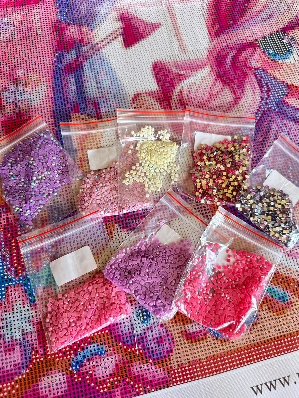 Lienzo  "La chica de rosa ”