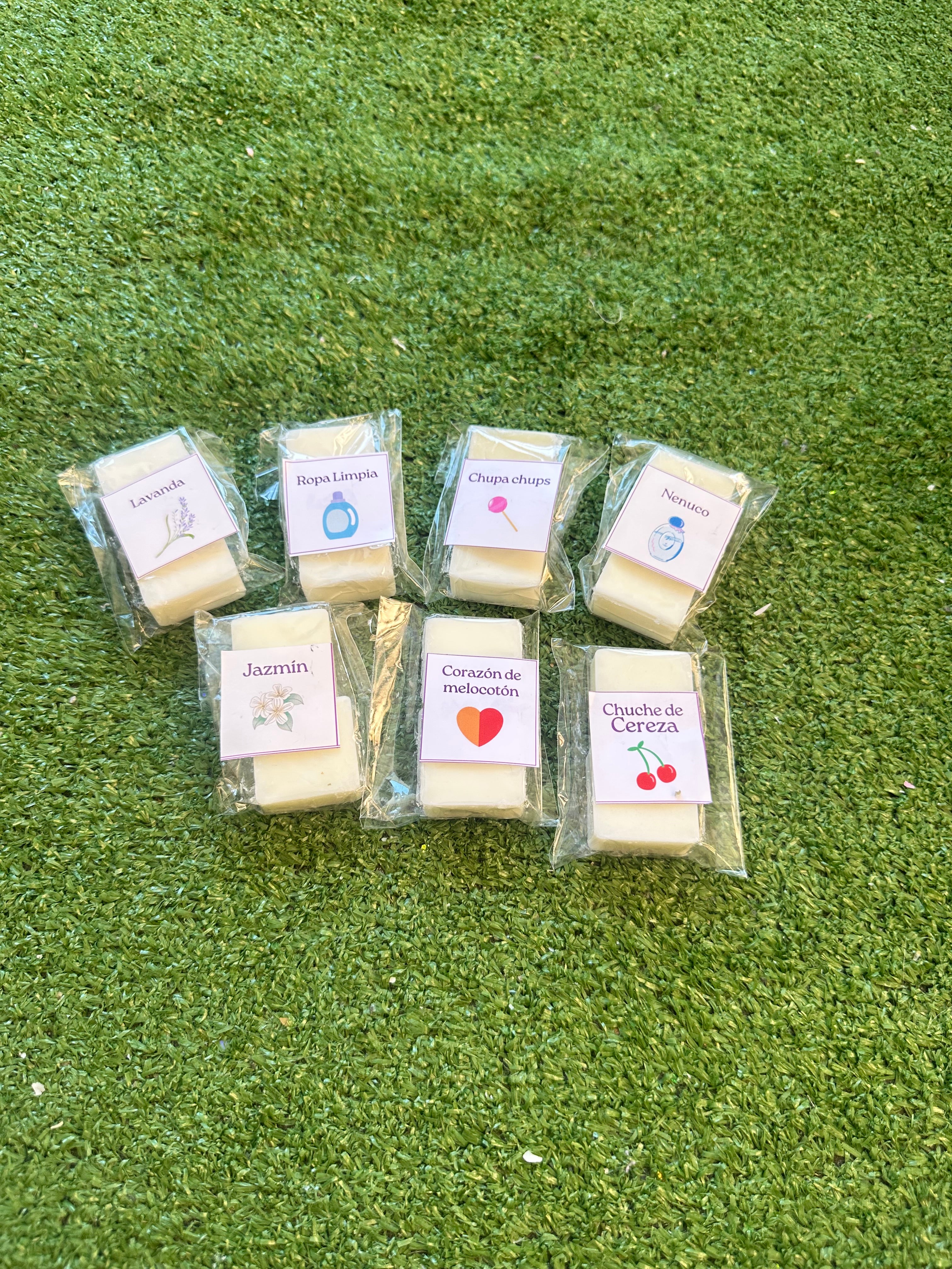 Wax melts degustación