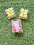 Waxmelts Cera de quemador “Especias místicas”