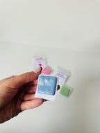 Masilla dp Flora Fauna y Primavera