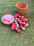 Waxmelts Cera quemador “Sandía”