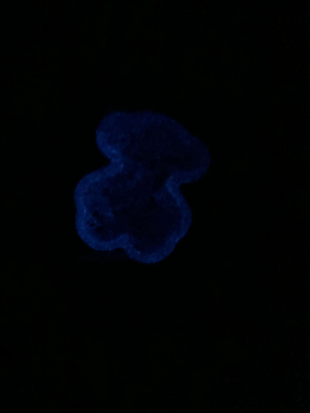 Cover minder Shaker dp brilla en la oscuridad