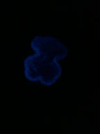 Cover minder Shaker dp brilla en la oscuridad