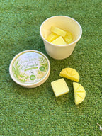 Waxmelts Cera quemador “citronela anti mosquitos”