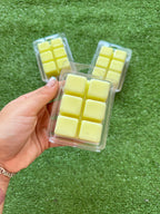 Waxmelts Cera de quemador “Especias místicas”